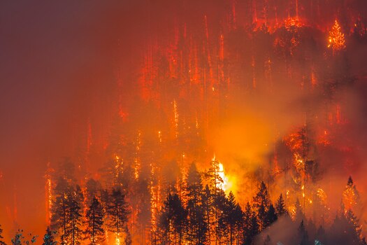 Could Wildfires Have Long-Term Health Effects?