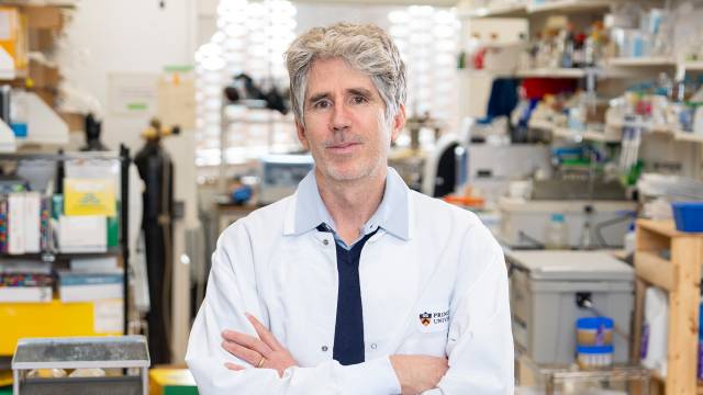 Princeton joins new cancer research hub established with gift from Weill Family Foundation.