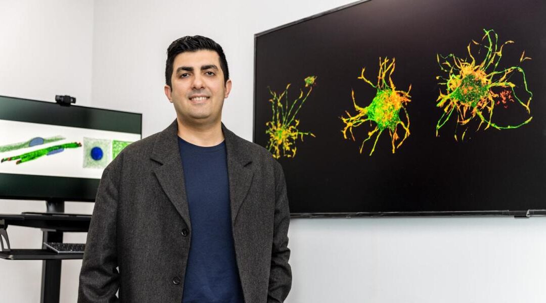 Unveiling the Biomechanical Forces that Drive Scarring.
