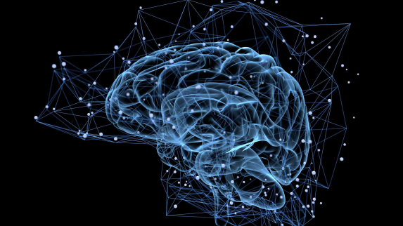 Advanced Models Offer Scientists a Promising Tool to Better Understand Brain Disorders.