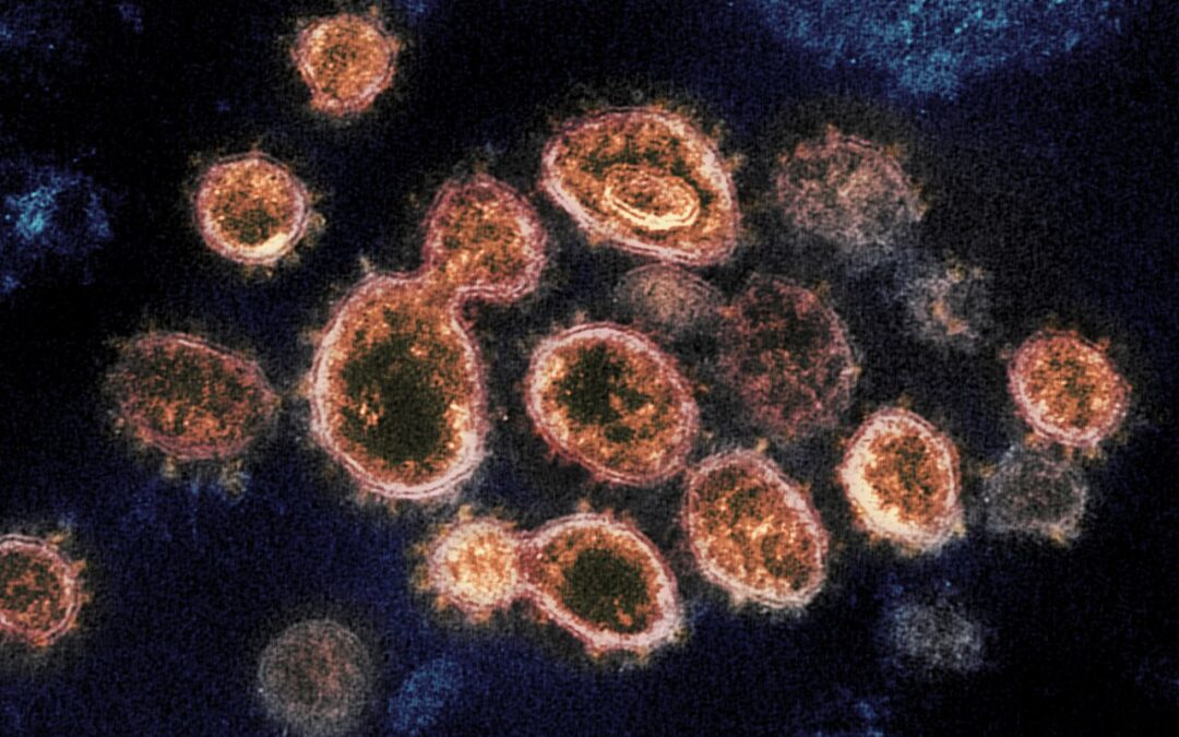 New coronavirus strains seem to be emerging daily. Will COVID vaccines remain effective?