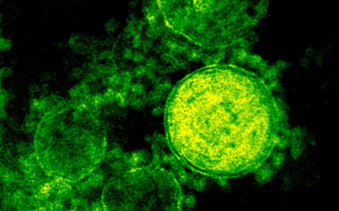 Rutgers Protein Data Banks Helps in Fight Against Coronavirus