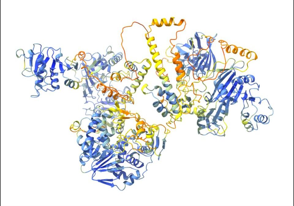 Princeton researchers find a path toward Hep E treatment by disentangling its knotty structure.