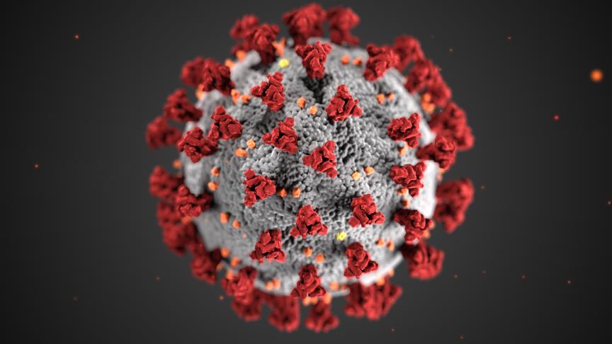 Rutgers Launches Genetic Testing Service for New Coronavirus