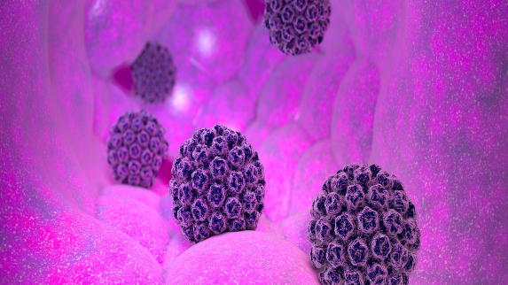 Rutgers Study Indicates Who Faces Highest Risk of HPV Infection and Anal Cancer.