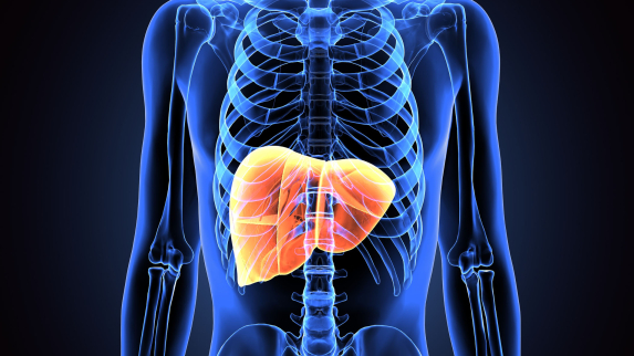 A Common Antihistamine Shows Promise in Treating Liver Complications of a Rare Disease.